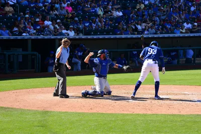 DSC_1822 (Large).JPG